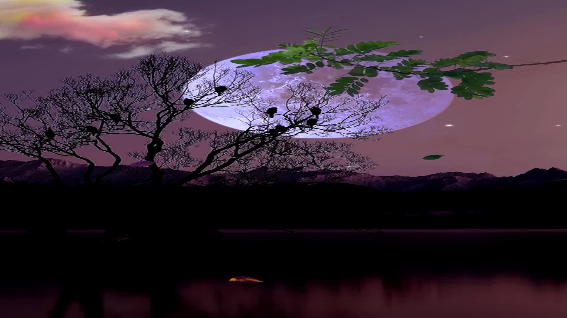 我总是躲在梦与季节的深处,听风与树叶的对话,看月与云语