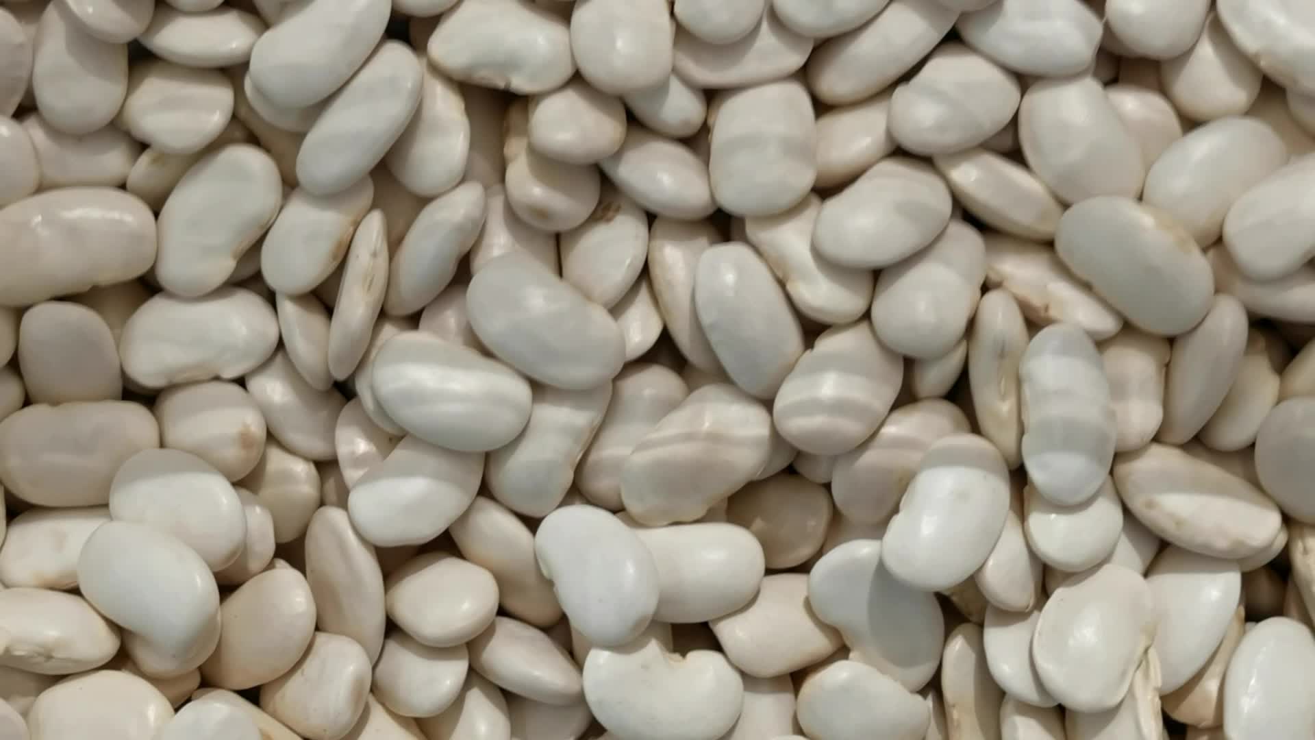 白银豆的做法(干白银豆的做法)