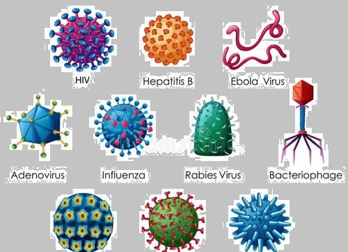 病毒是自然界一种自己无法活下去的东西