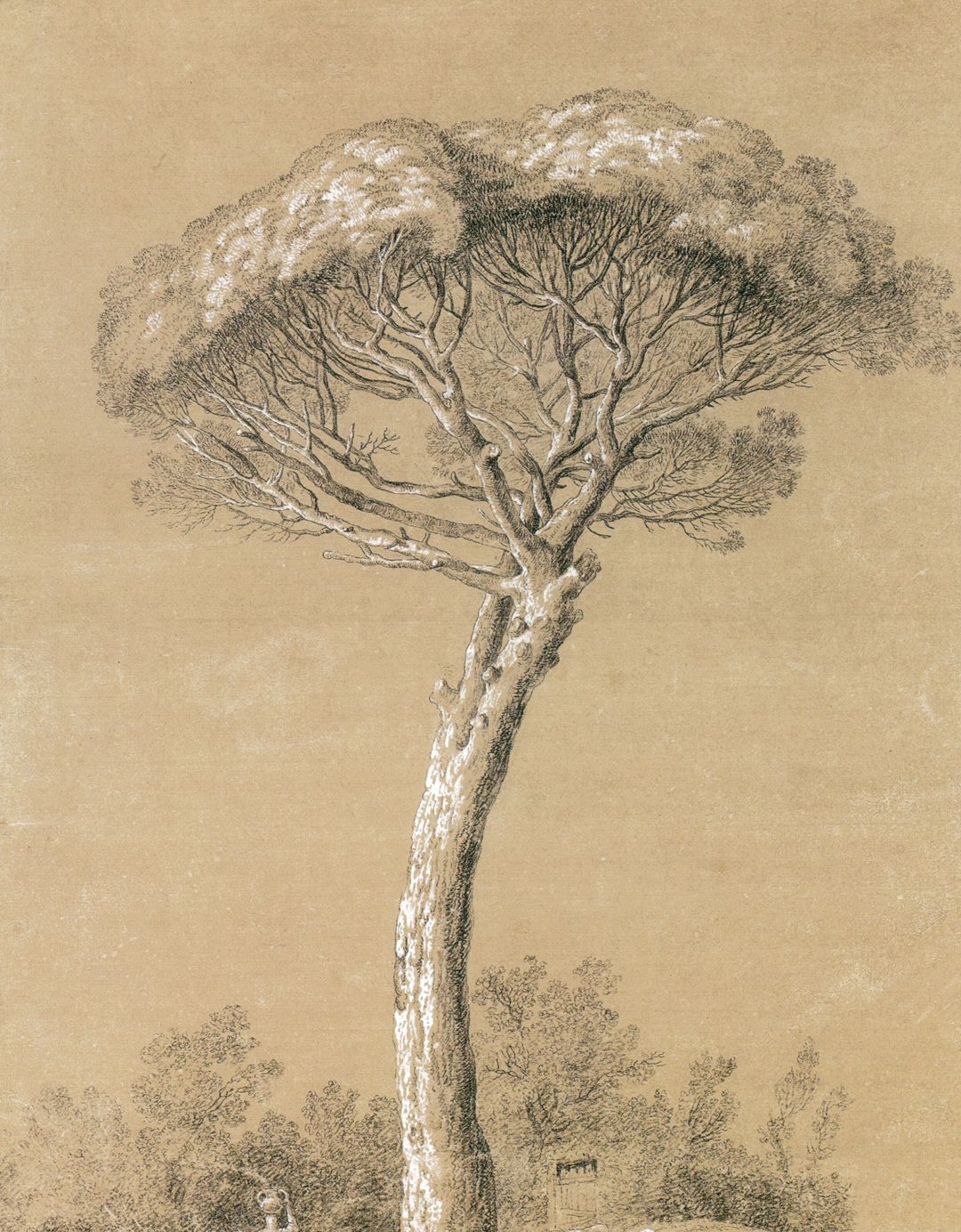 20张画树木的世界名画,关于画树枝的世界名作,树的画法美术作品
