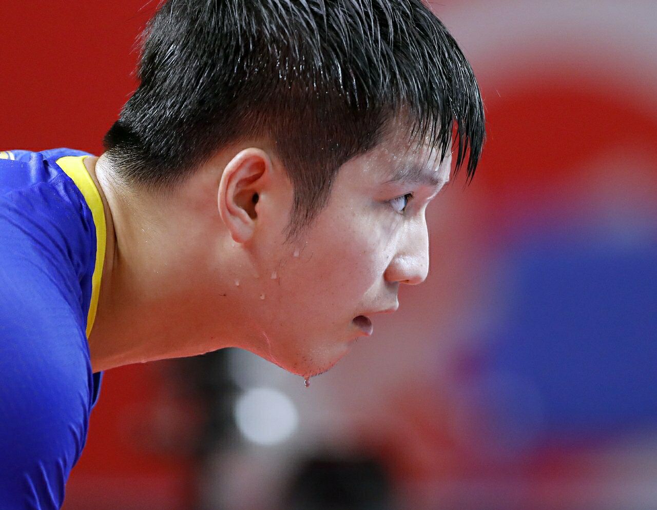 徐晨皓4-0击败许昕,爆出大冷门!8月13日半决赛:樊振东vs梁靖昆