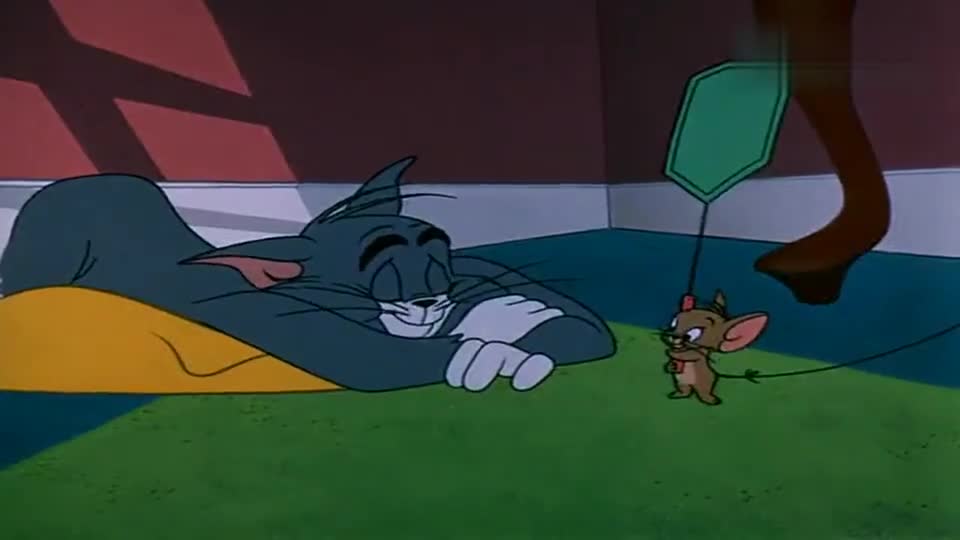 猫和老鼠:汤姆真愚蠢,被老鼠打醒了,还傻呵呵的笑!