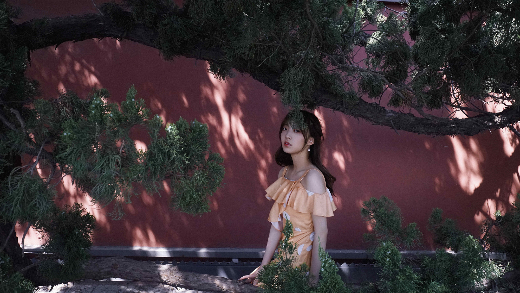 柳叶摘星辰杀青范薇古装造型清新灵动