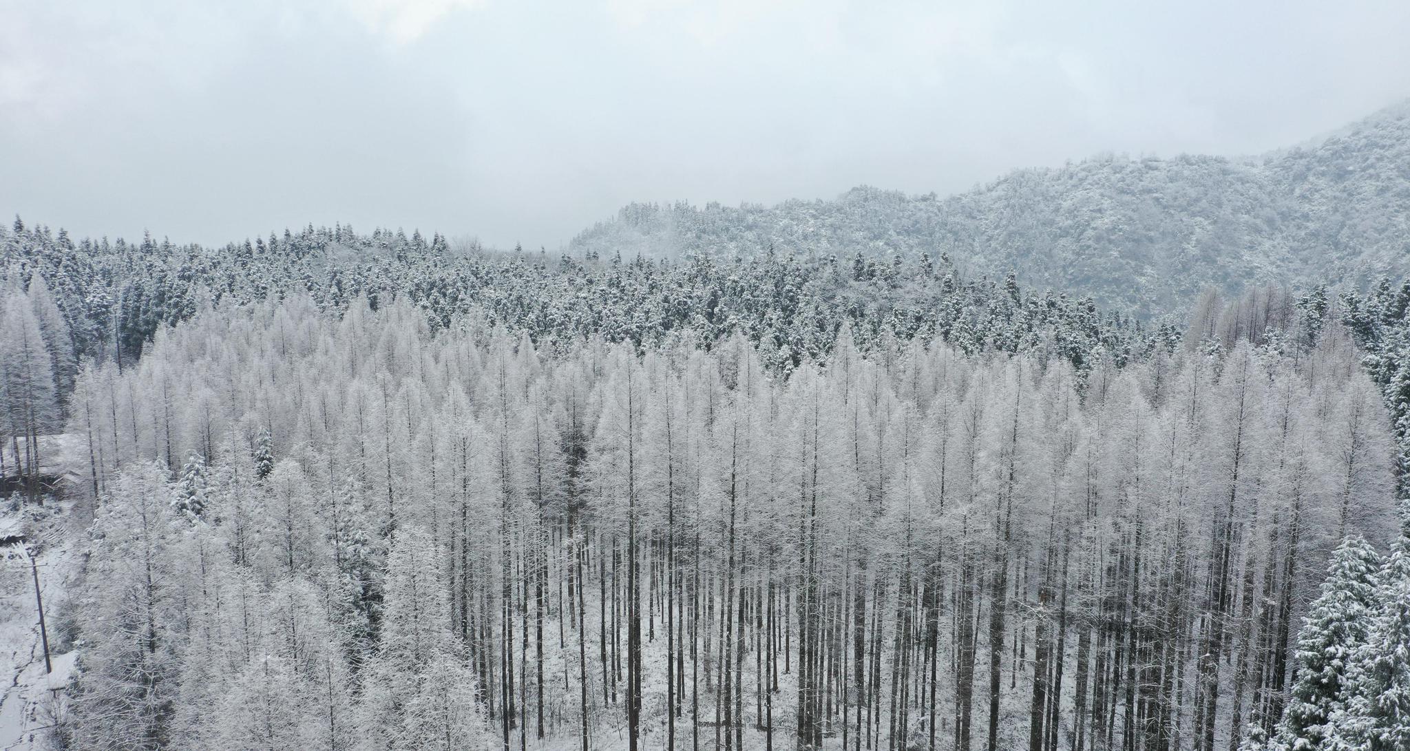 四川绵竹冰雪美如画1