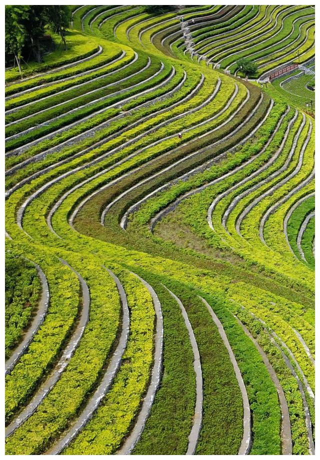 耀彩官网首页入口黄河内蒙古临河段流凌景观悄悄登场