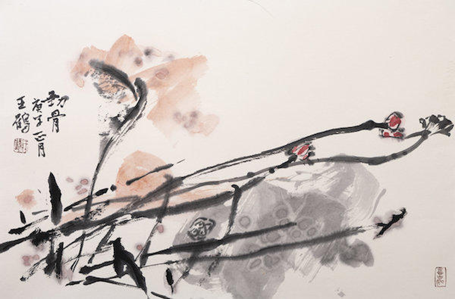 佳作欣赏画家王鹤花鸟画笔墨灵动韵味悠长