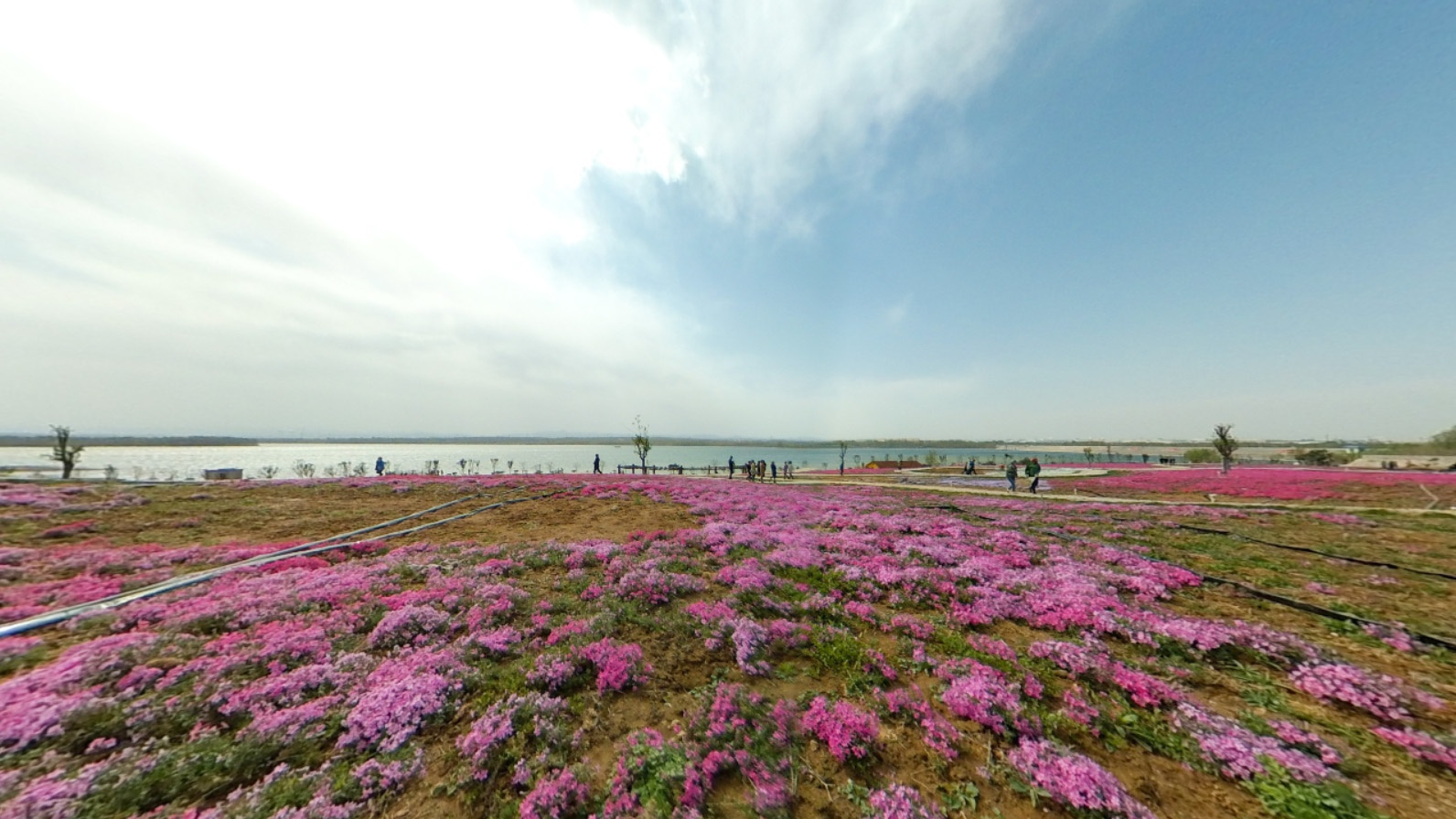 河南湯陰的溼地公園不想去的3大理由