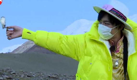 刘宇宁采摘二级保护植物道歉,极限挑战节目组连续犯了三个错误