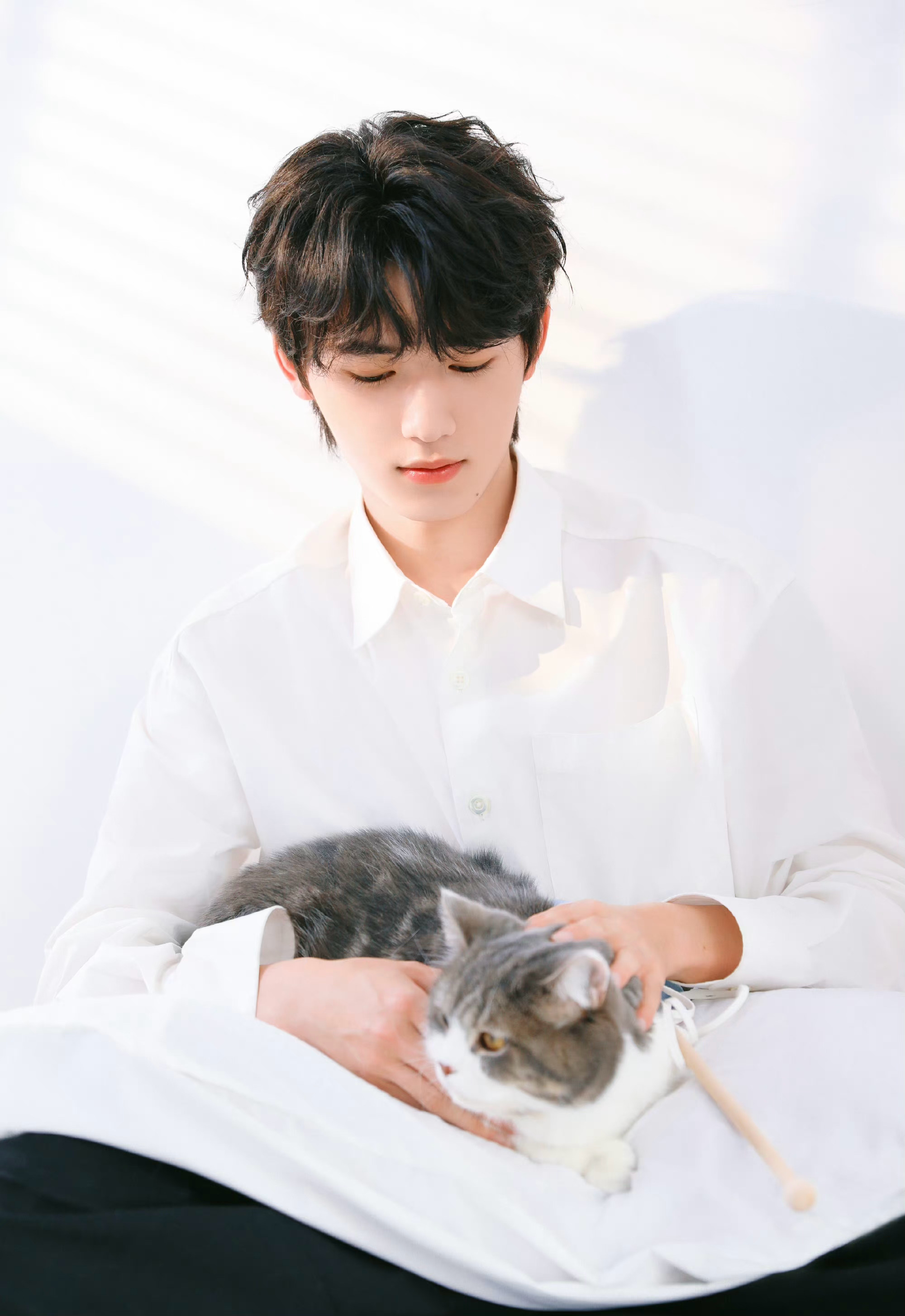 宋亚轩身穿白色衬衫,与猫咪愉快玩耍,活力满满的少年_高清图集_新浪网