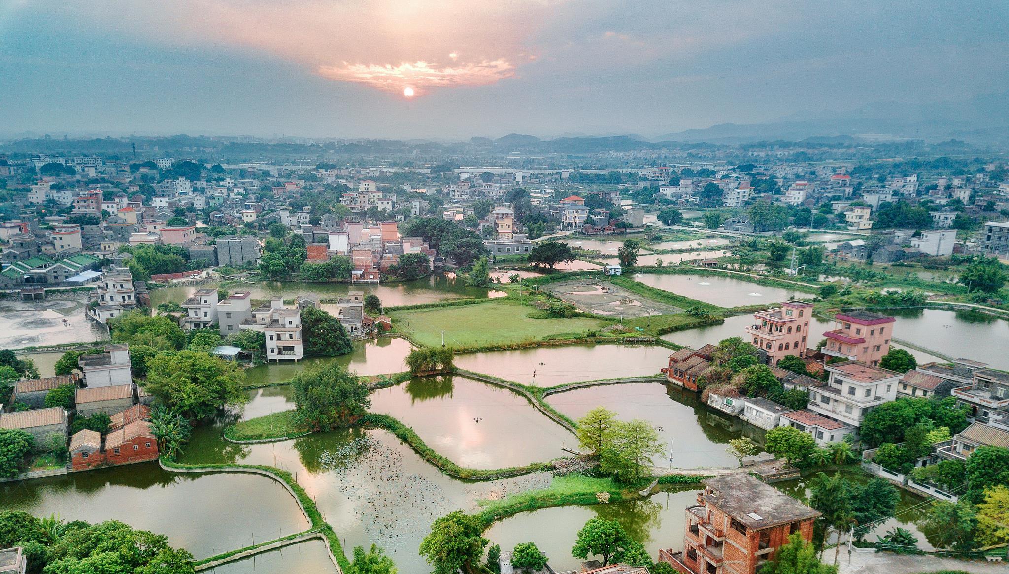 鹤山古劳水乡景点有哪些虽然不多但是却是画里的小桥流水