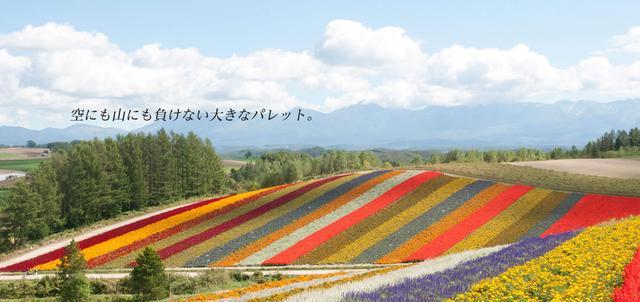 深度游日本 让生活增添更多欢乐色彩北海道花田 四季彩之丘 房老大 房地产信息资讯网 深度游日本 让生活增添更多欢乐色彩北海道花田 四季彩之丘 房老大 房地产信息资讯网