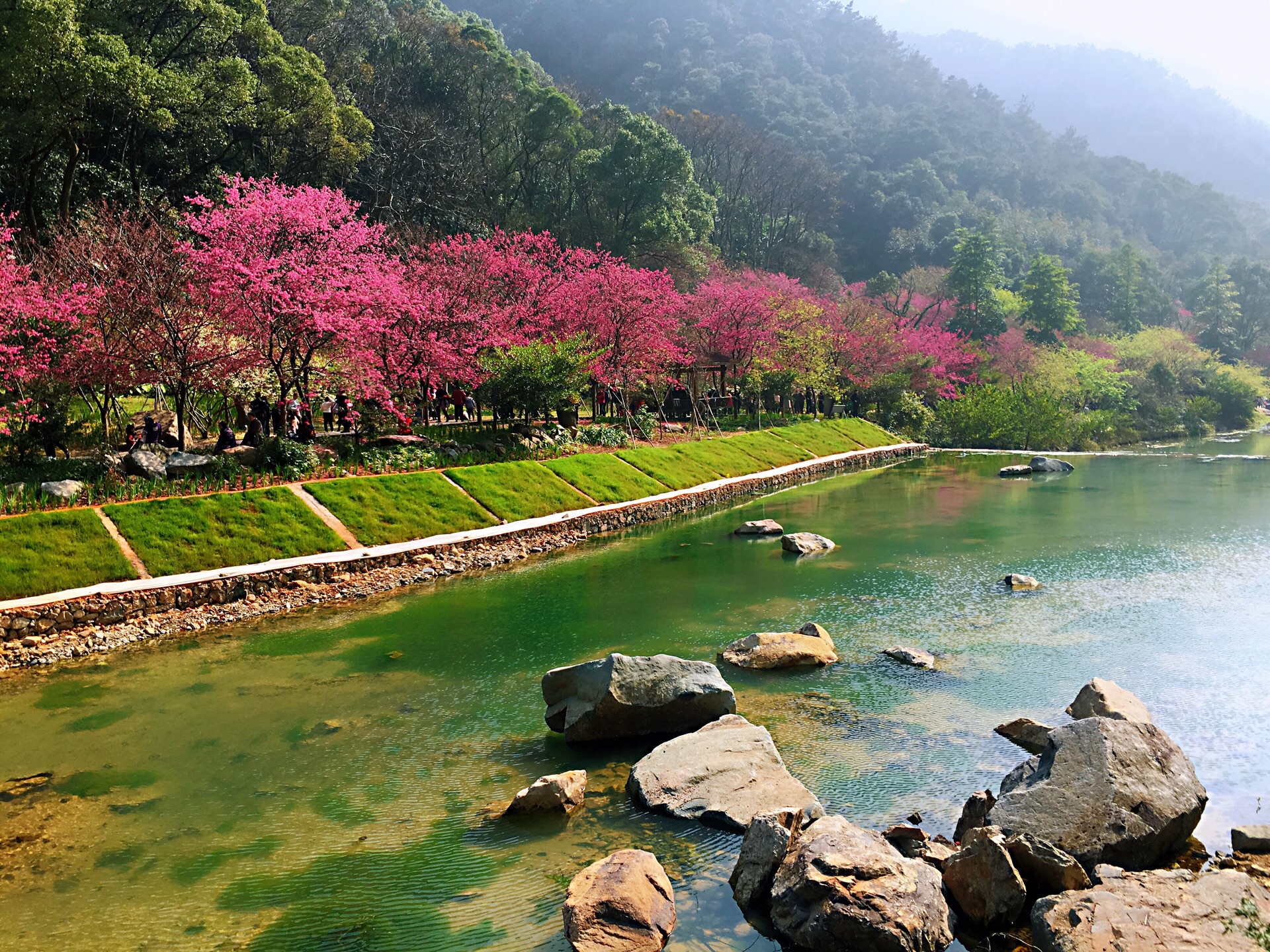 福建省 福州市 福州国家森林公园 全国十大森林公园之一