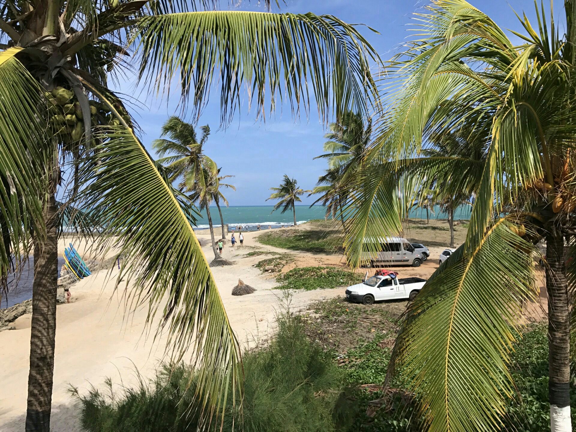 游览 南美 巴西 纳塔尔 皮兰吉海滩