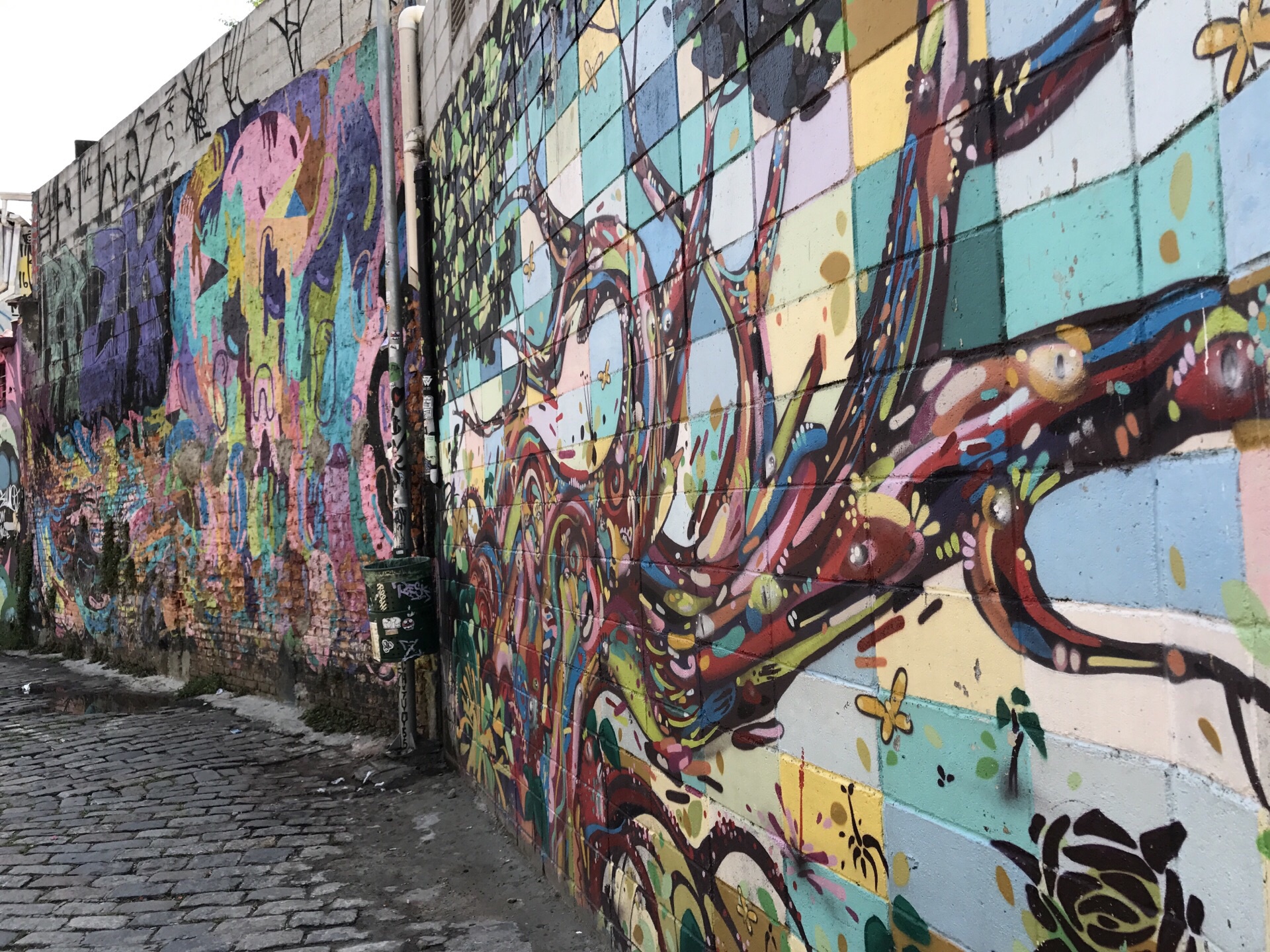 游览 南美 巴西 圣保罗 蝙蝠侠胡同