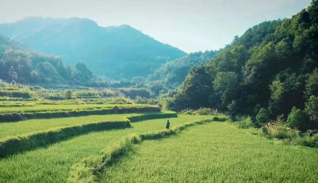 民谚“立秋无雨是空秋，万物从来一半收”啥意思？立秋下雨才好吗休闲区蓝鸢梦想 - Www.slyday.coM