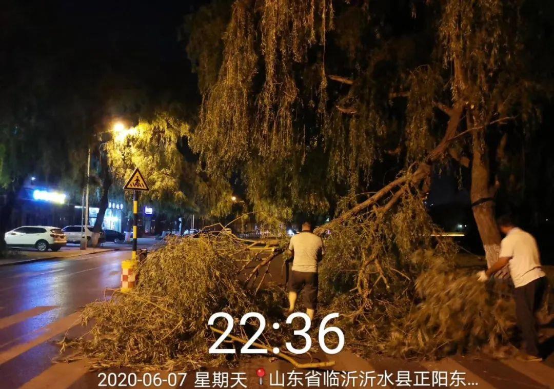 沂水正阳路：超高车刮断柳枝，挡了半个路面财经头条 