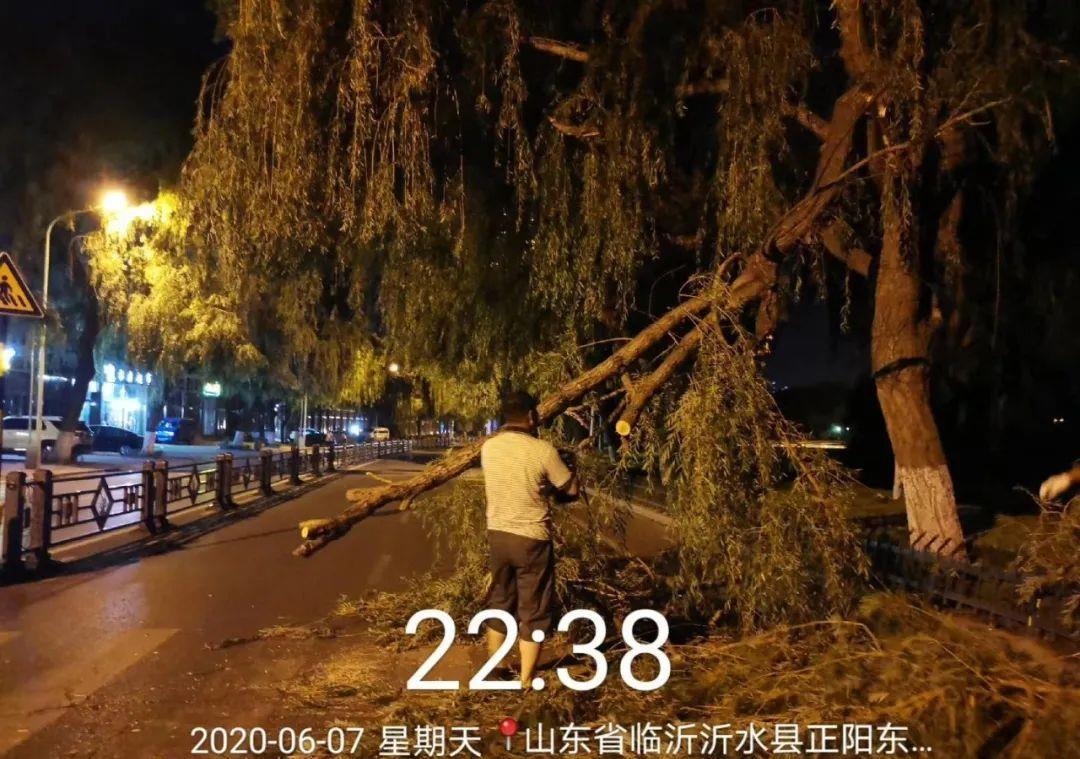 沂水正阳路：超高车刮断柳枝，挡了半个路面财经头条 
