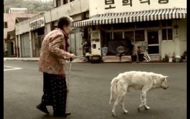 奶奶去世后狗狗每天独自出门，走过曾经去的地方，眼神里满是悲伤
