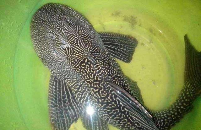 在这个事情上,<a href=