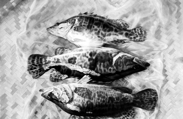 鳜鱼|古诗词|箬笠_新浪新闻