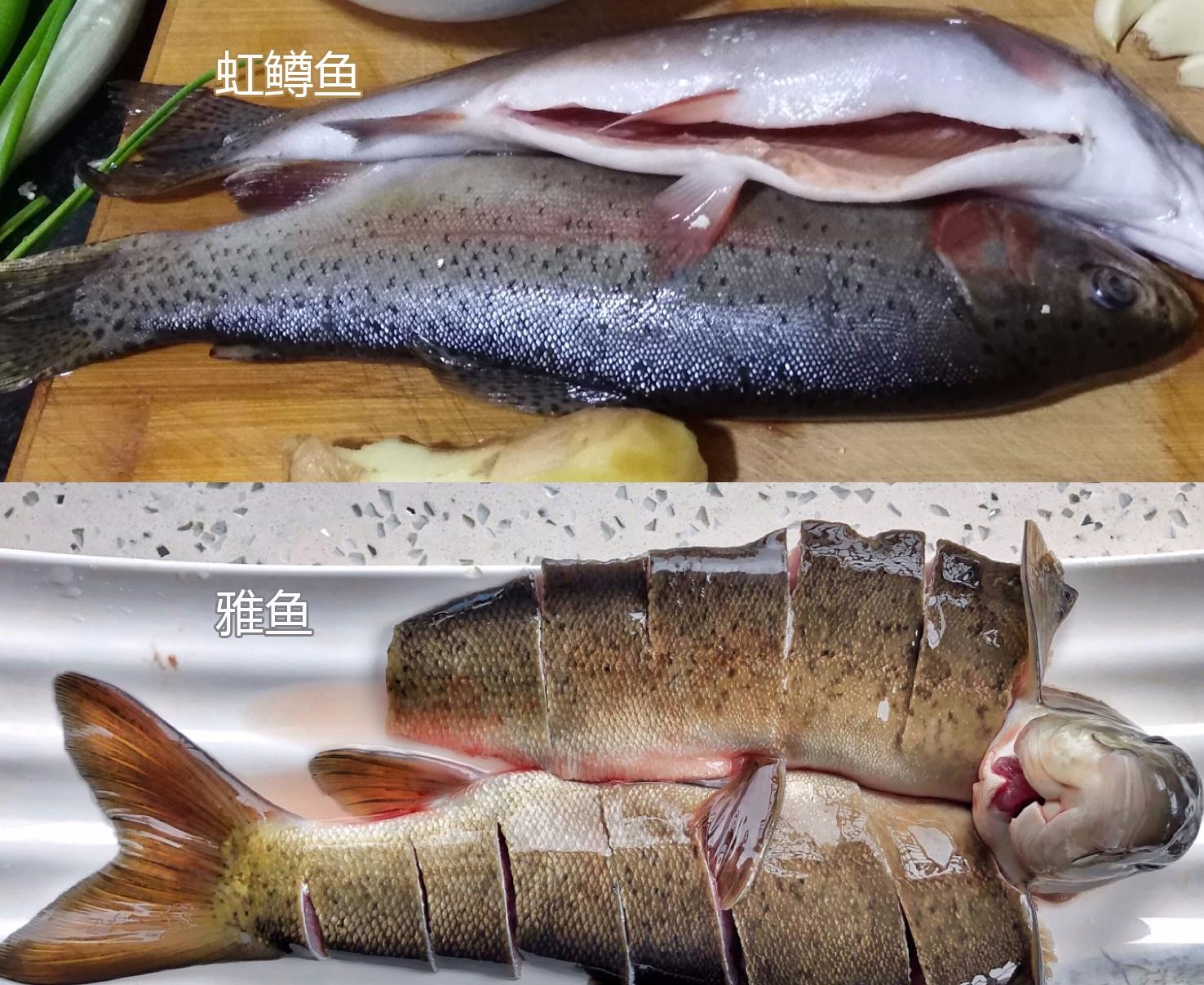 雅鱼清代贡品一种特别的裂腹鱼因而成为雅安市的生物名片