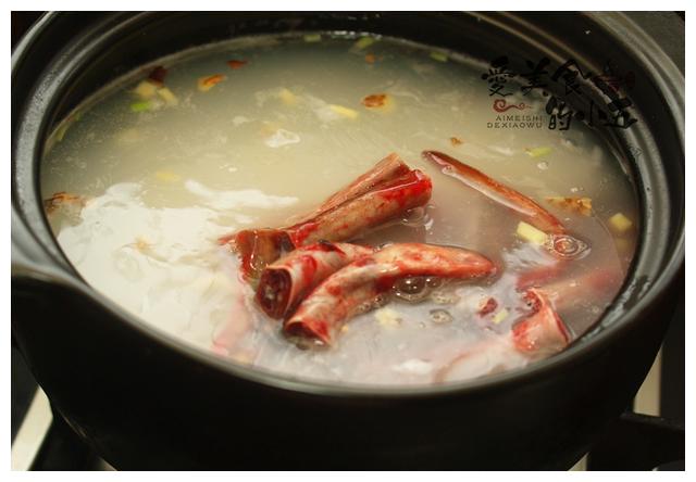 血鳗,鳗科中的"贵族阶层",秋冬时节用来煮粥最是滋补与味美