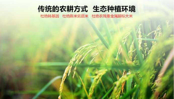 十月稻田农业科技有限公司 完成b轮14 5亿人民币融资 财经头条 十月稻田农业科技有限公司 完成b轮14 5亿人民币融资 财经头条