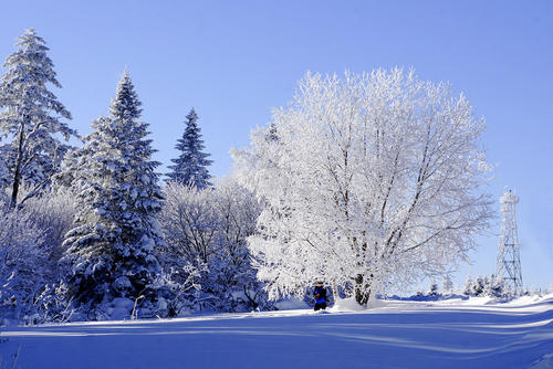 仿佛一切事物的节奏都慢了下来,也许你会发现一些属于冬天的趣味