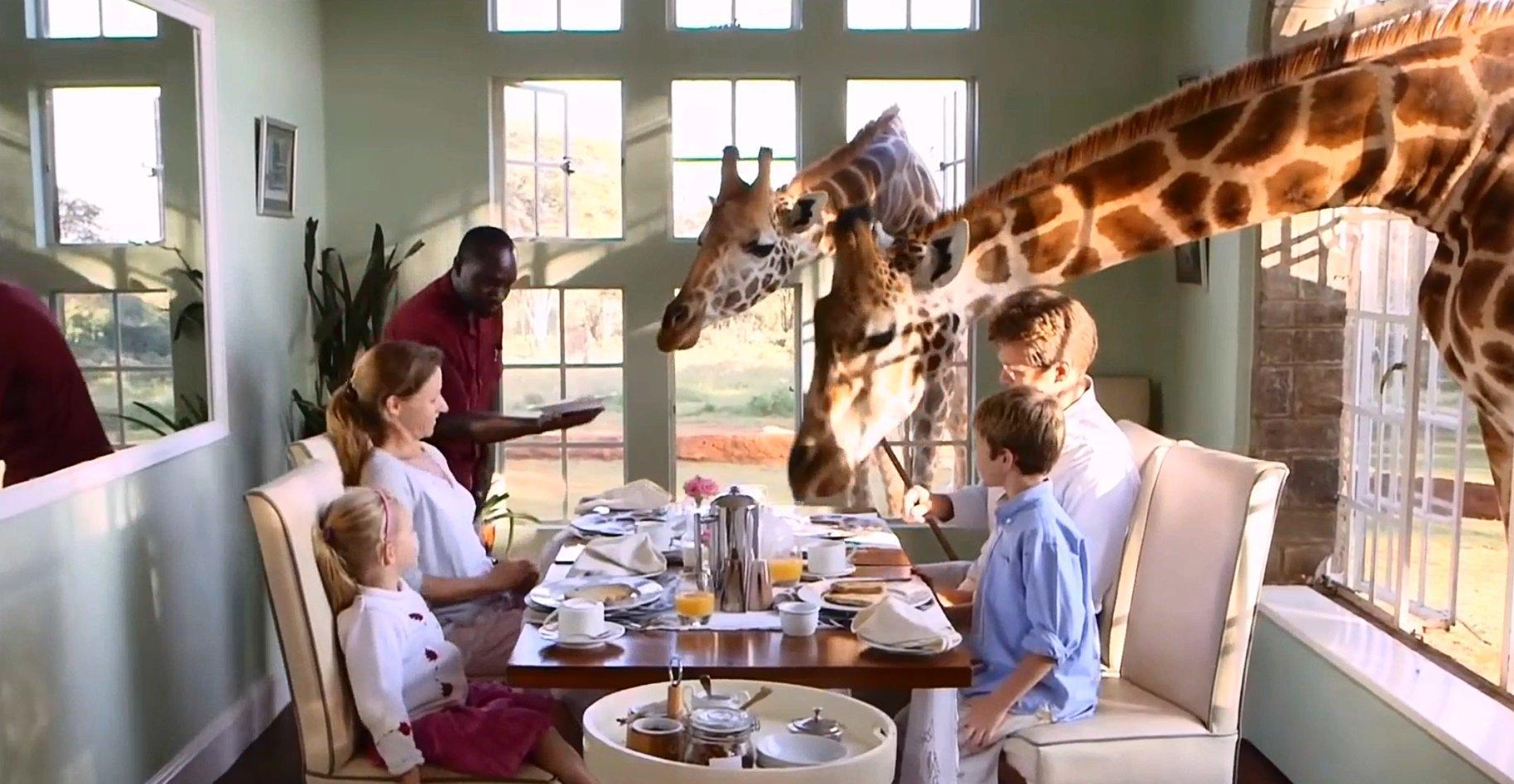 最特别的长颈鹿主题餐厅吸引来无数顾客打卡简直是生意鬼才