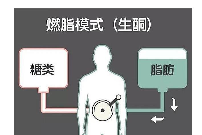 生酮减肥法靠谱吗？劝你别真的去尝试，很多人都踩雷了！休闲区蓝鸢梦想 - Www.slyday.coM