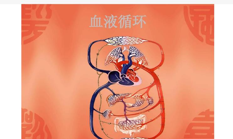 上了年纪后血液循环不畅?4件事情做到位,或能让血管更畅通!