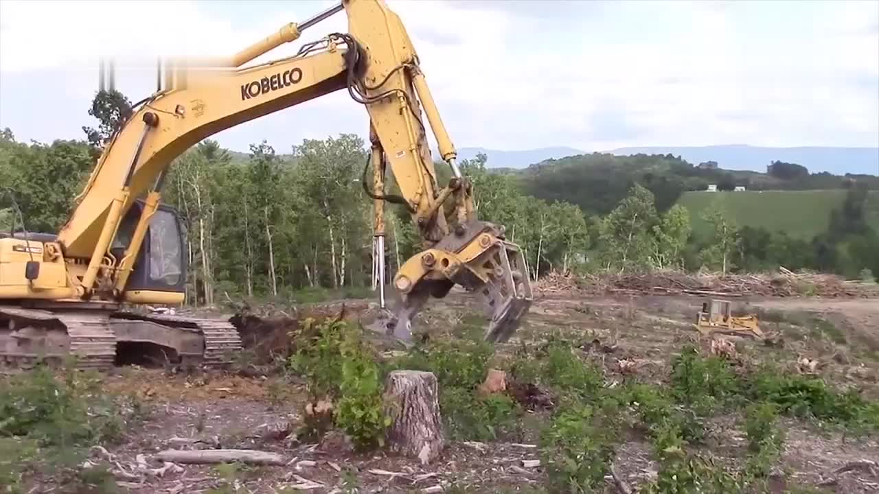 头一次见挖掘机拔树根,分分钟将树根连根拔起,不比德国机械差