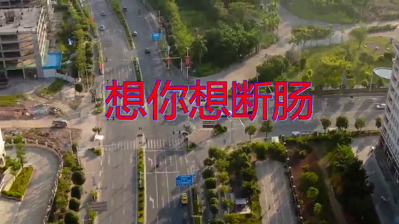 分享邓丽君的经典歌曲《想你想断肠》,句句入心,满满的回忆!