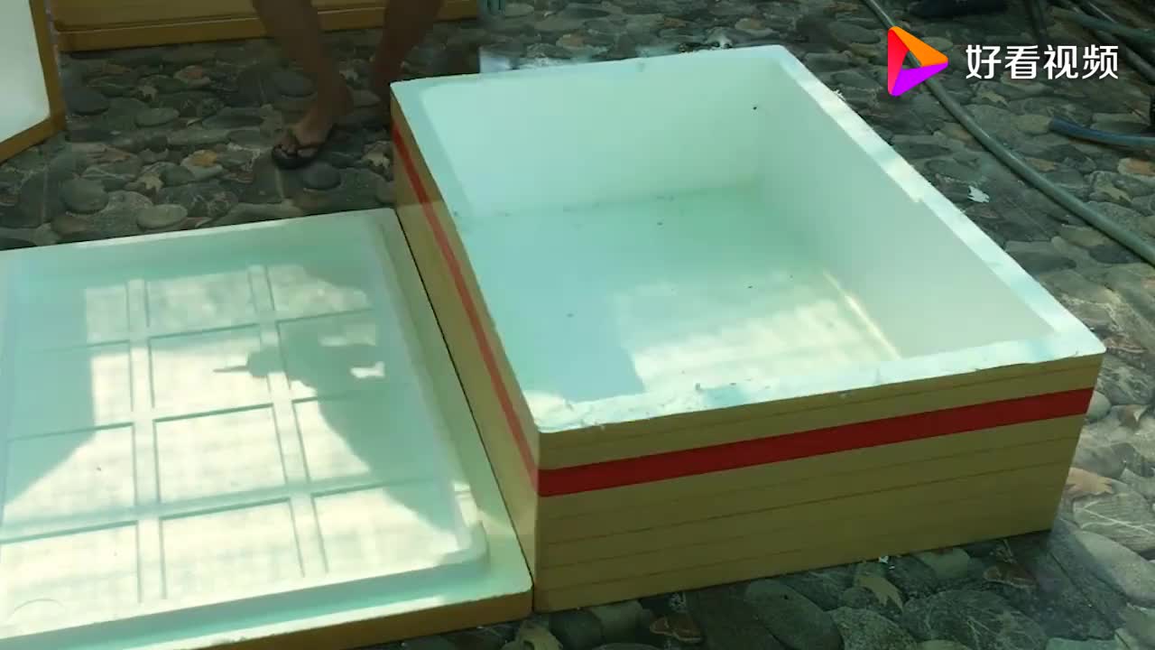 就问你这养鱼池做的怎么样,居然是用泡沫箱做的,真是民间高手!