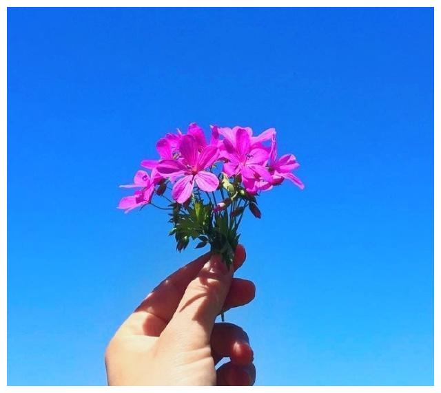 阳光明媚的早安短句,干净唯美,朋友圈必备!