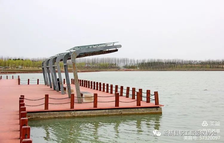 河南新蔡东湖寻春