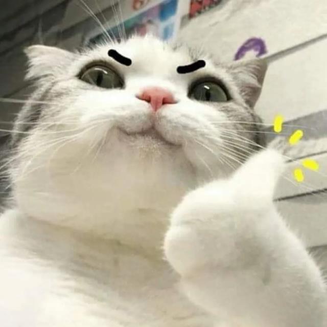 猫咪点赞的动作火了,却招来剪指甲之"祸"…__财经头条