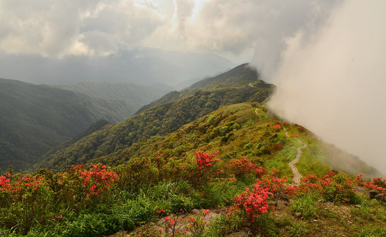 姑婆山(姑婆山天气)