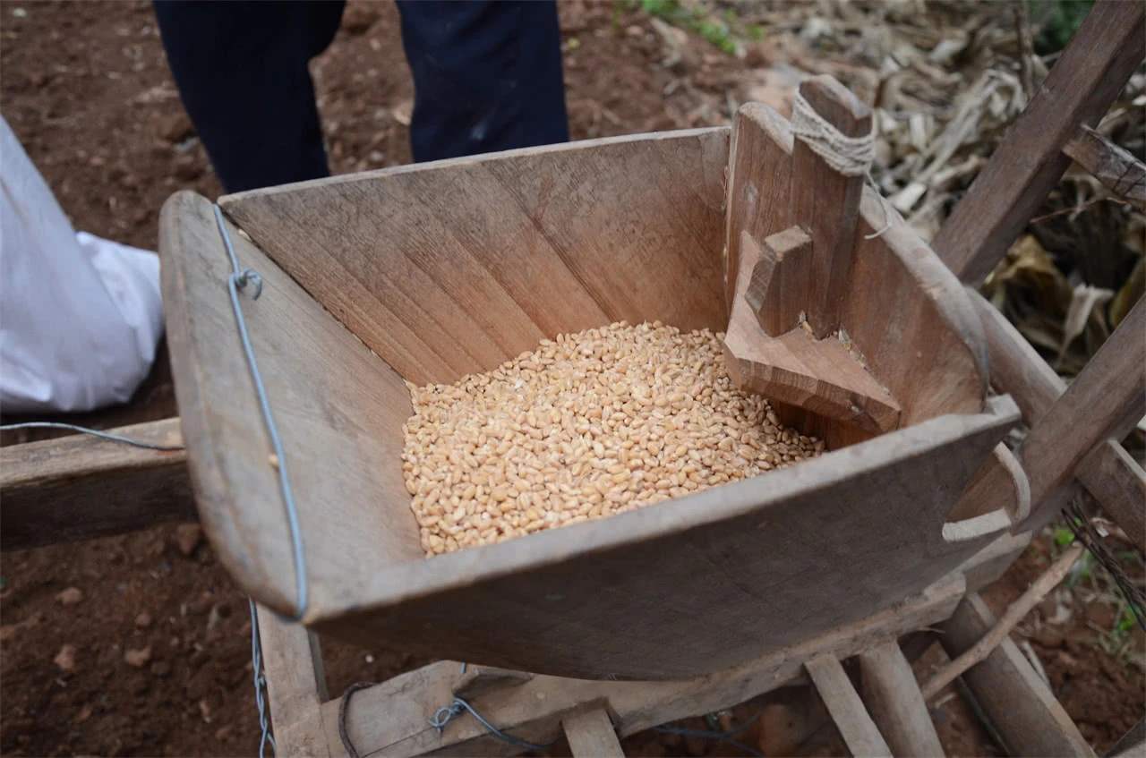 必用到的四件农具,熟悉的都年过半百了吧|农具|小麦|麦子_新浪新闻