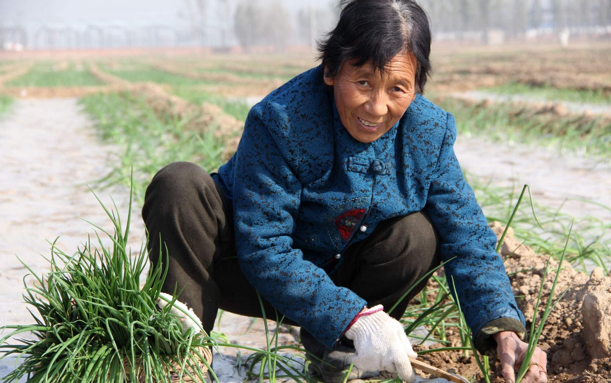 农村新型不孝蔓延老人有苦说不出年轻人该反思反思
