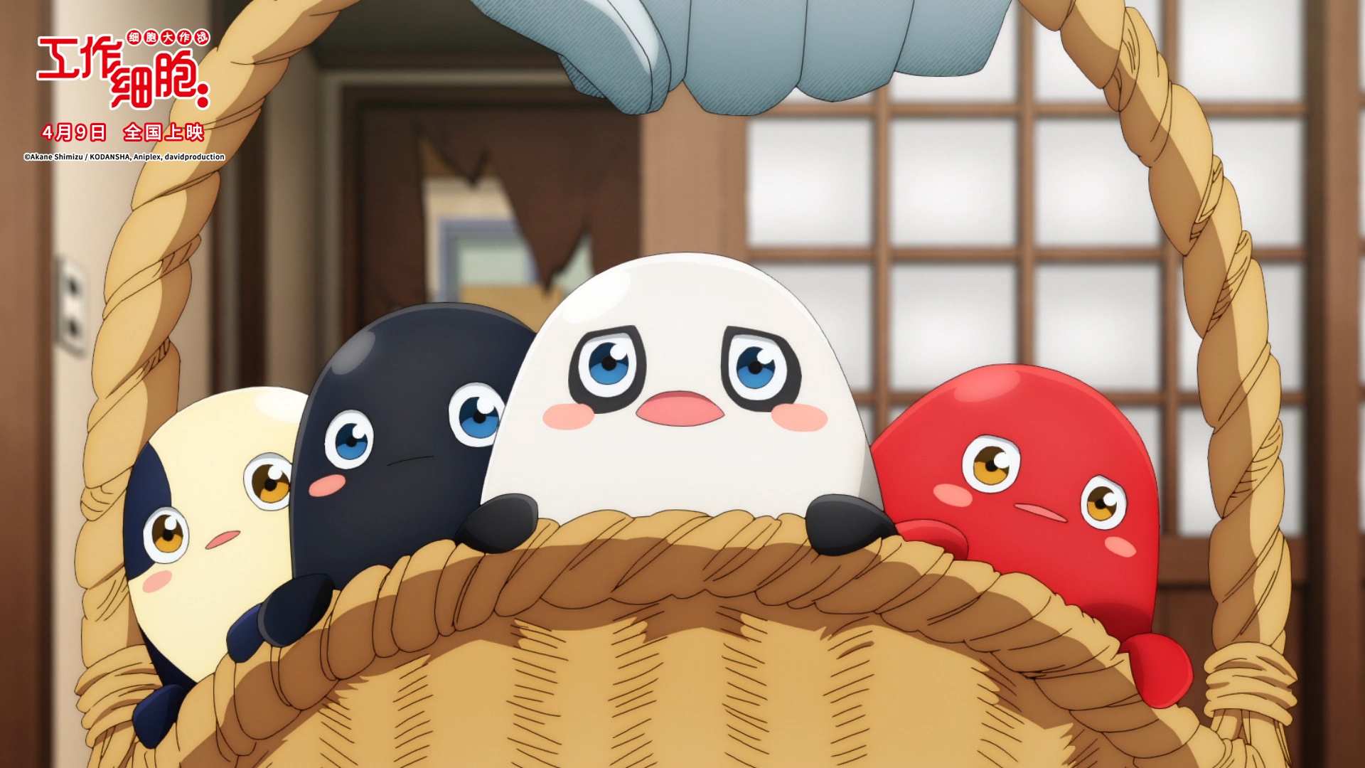 电影工作细胞细胞大作战今日上映萌燃治愈四大看点解析
