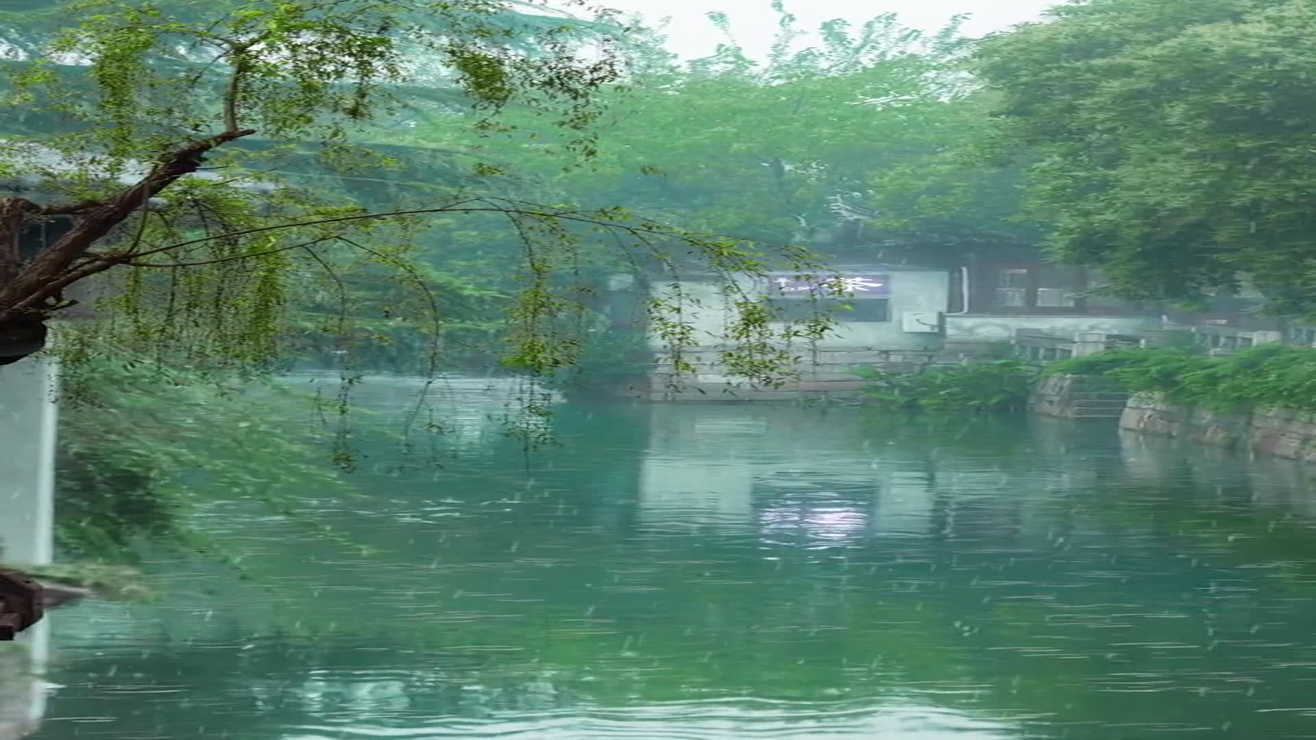 有人困在雨里有人在雨中赏雨这黛色霜青的江南