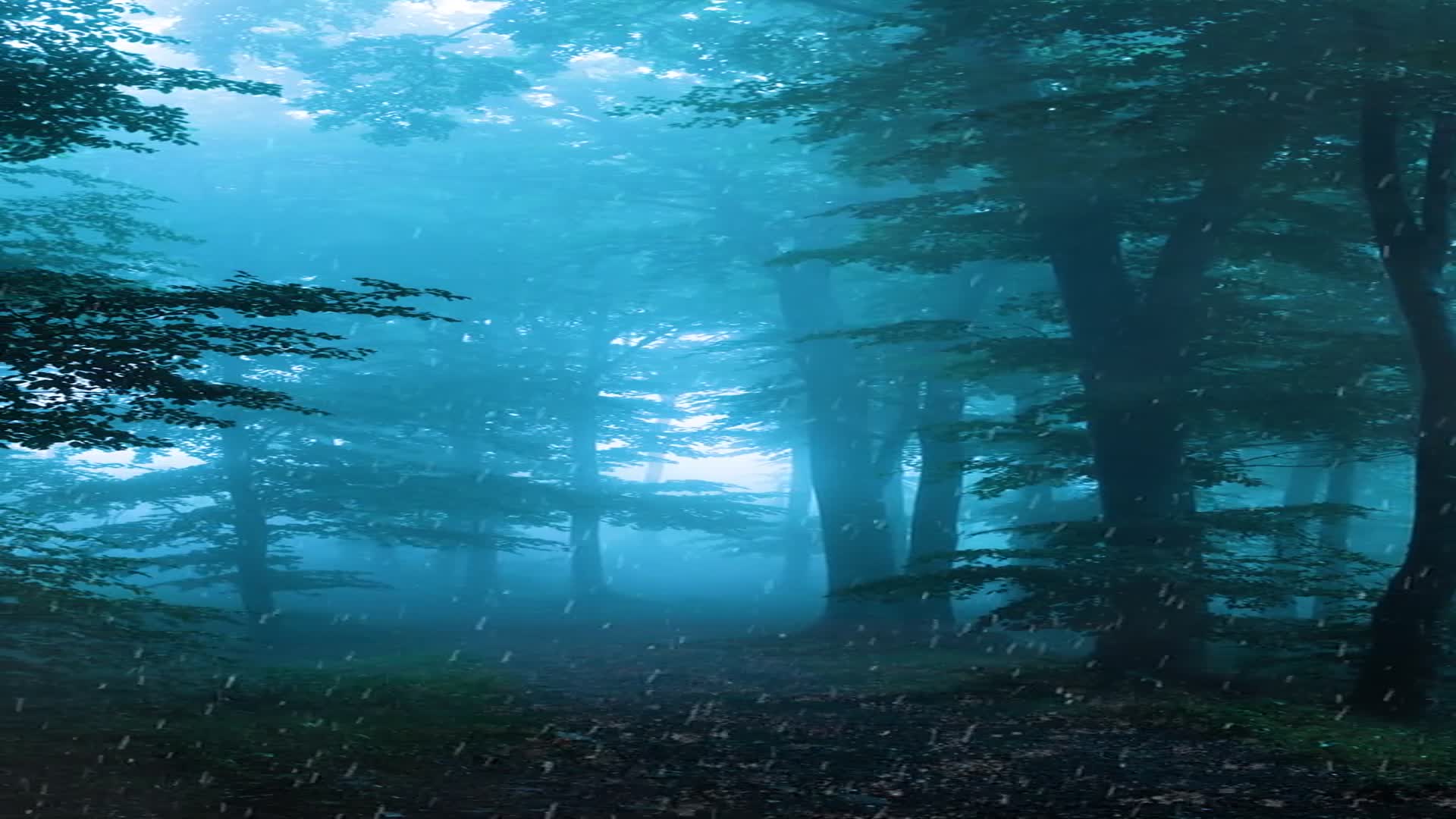 听雨是种解压,看雨是一种宣泄,这山林树木惹了聚雨_手机新浪网