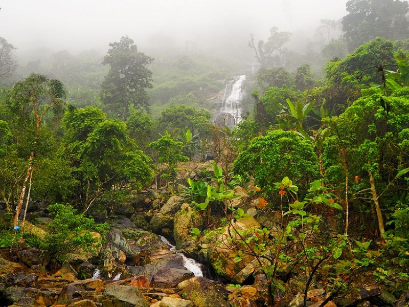 走进百花岭热带雨林文化旅游区青山绿水拥有众多的雨林奇观