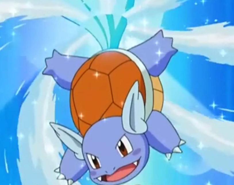 神奇宝贝图鉴no8毛茸茸的尾巴是长寿的象征卡咪龟