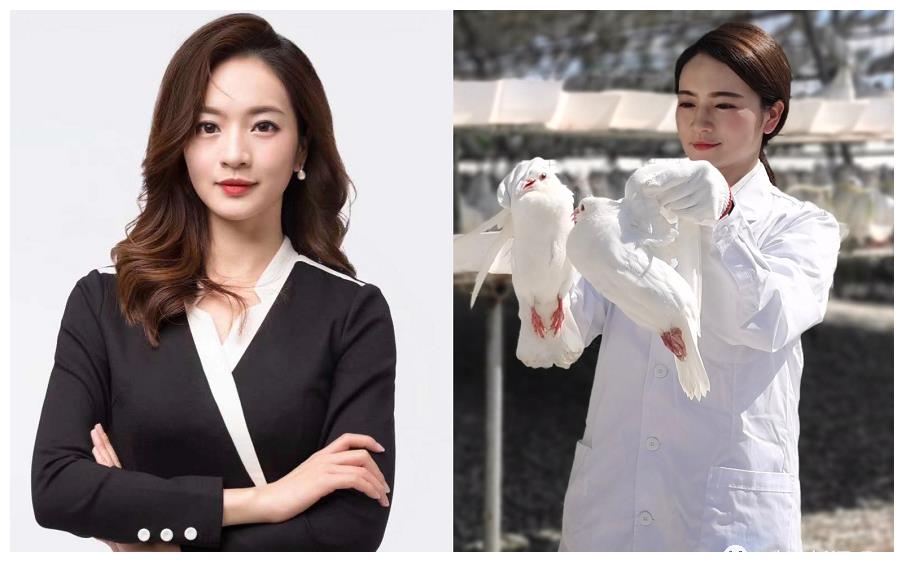 一鸽胜九鸡 主播解密"兴宁鸽"|解密|兴宁|刘思颖_新浪新闻