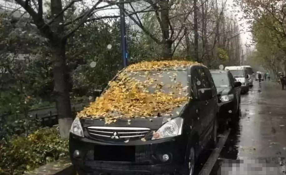 经常出现的工具有哪些