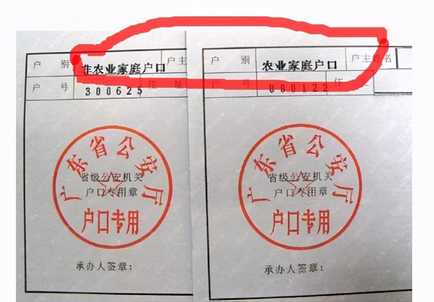 农村户口成了"香饽饽"!现在想回来咋办?符合这3点的可以办理