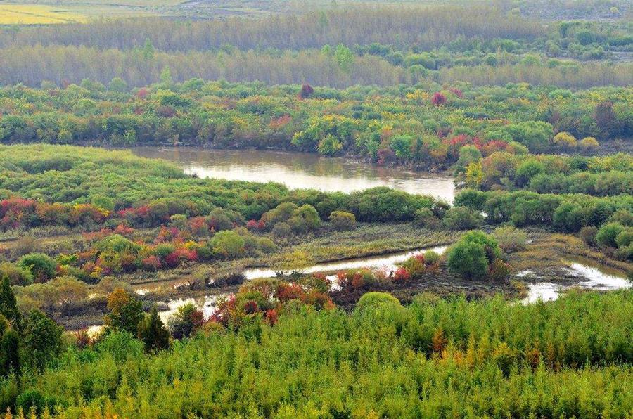 黑龙江绥化一个县,县城没有高速公路,上高速需要到其他县__财经头条
