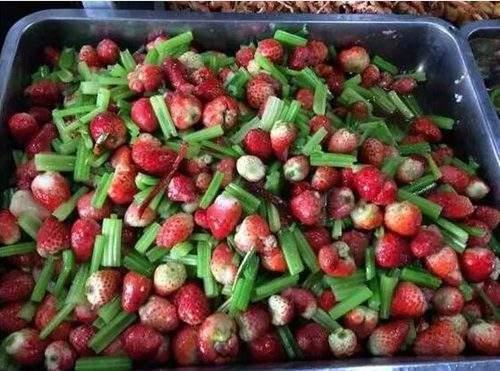 快开学了今天就来盘点那些高校，闻者伤心，见者流泪的黑暗料理。休闲区蓝鸢梦想 - Www.slyday.coM